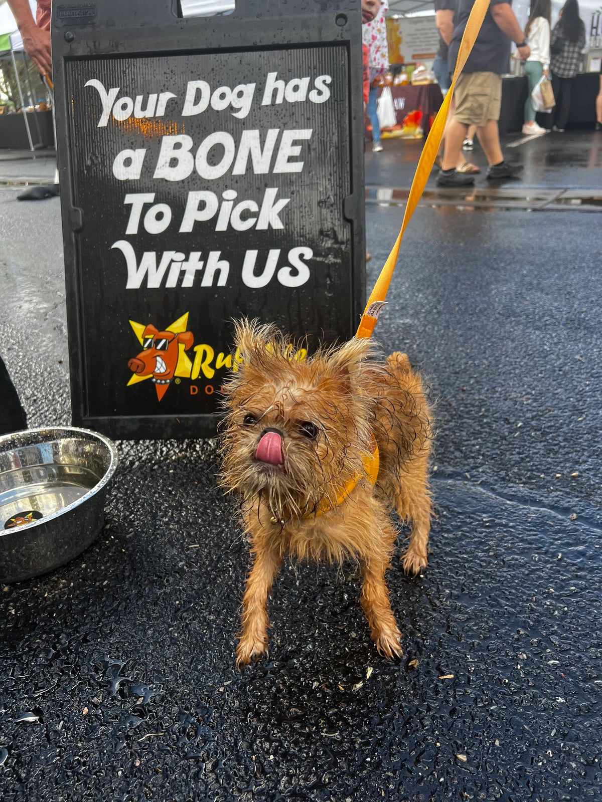 Free Local Delivery to Your Door