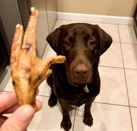 Fresh All Natural Smoked Chicken Feet