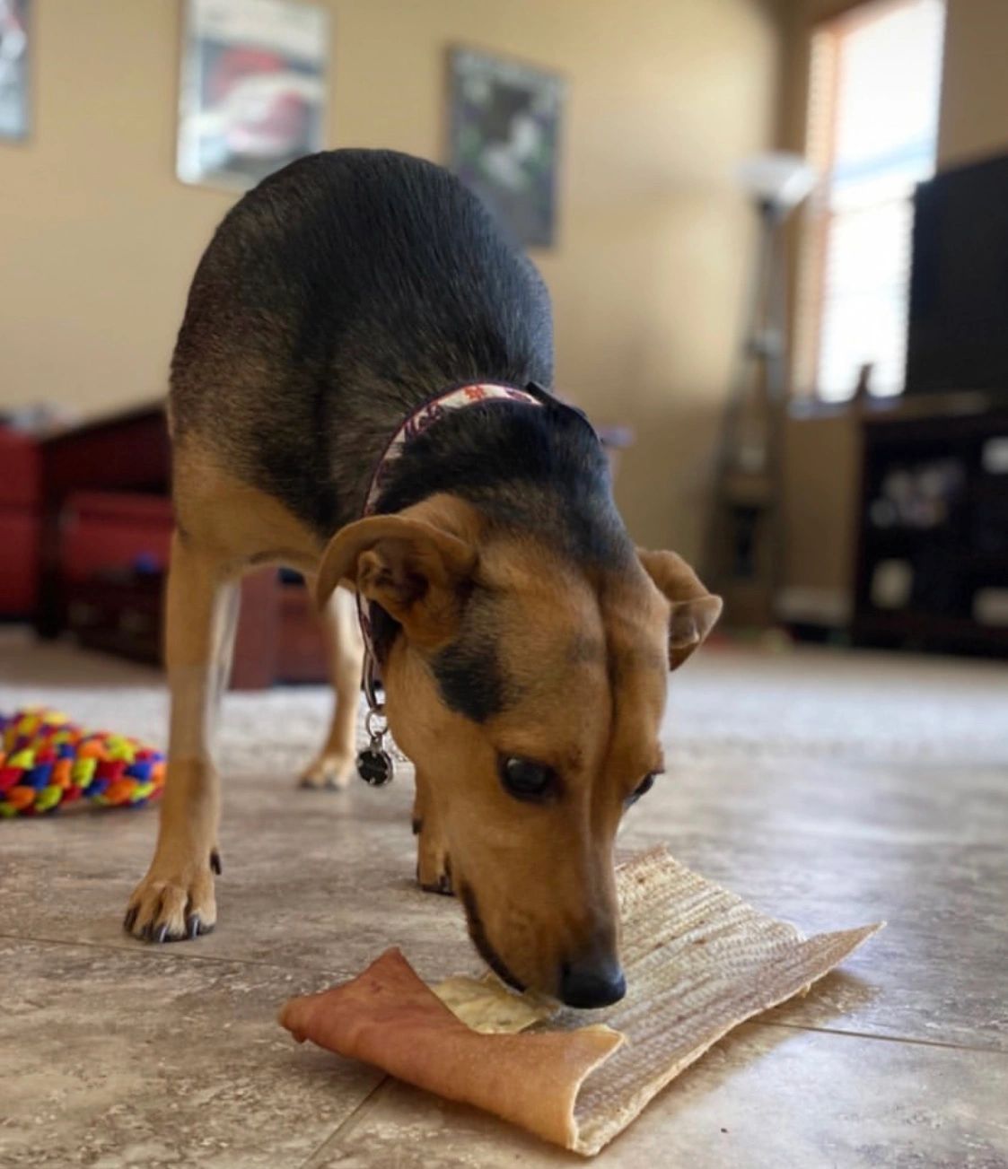 Fresh All Natural Smoked Pork Chews