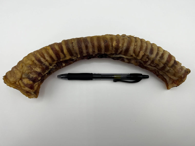 Fresh Smoked Beef Trachea